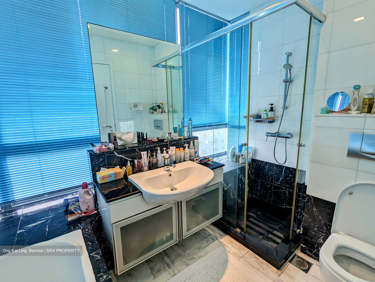 Balmoral Hills (D10), Condominium #420718241